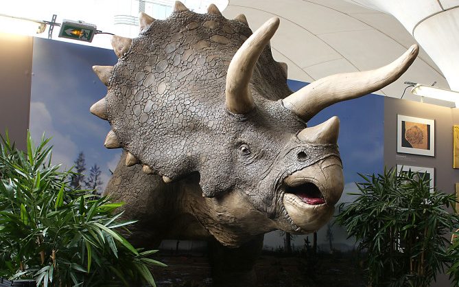 Triceratops 2D/3D combined exhibit / 1.8m x 2.33m x 3m / Metropole